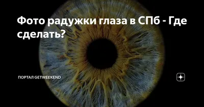 Профессиональное фото радужки глаза - купить сертификат по цене от 2700  руб. в Москве