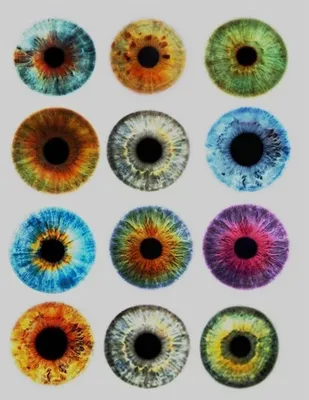 Красота человеческих глаз! | Пикабу