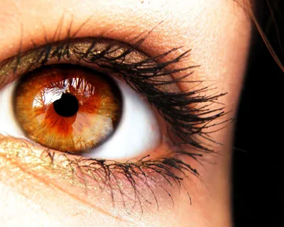ФОТО РАДУЖКИ ГЛАЗА on Instagram: \"Неравномерное распределение меланина😍 ⠀  Мифы про гетерохромию: ⠀ • Обладатели страдают с дальтонизмом ⠀ • Разный  цвет глаз проводим к тому, что зрение разное ⠀ • Люди