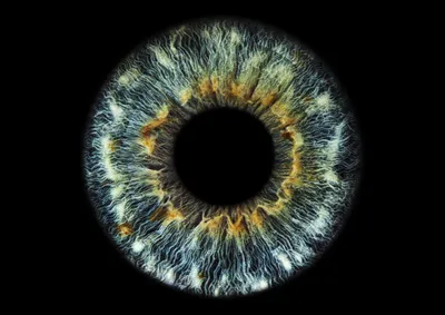 Красота человеческих глаз! | Пикабу