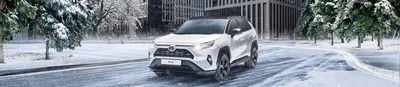 2022 Toyota RAV 4 TRD Off-Road Review - Respect earned