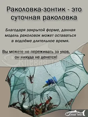 Сколько раколовок можно ставить на одного человека по закону и какие  ловушки разрешены | LoviTut.ru (Рыбалка и Бильярд) | Дзен