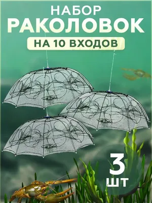 столько я еще не ловил. Проверка раколовок. Третье сентября - Смотреть  видео онлайн