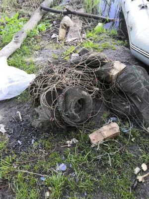 В Дирекции по ООПТ РБ отреагировали на скандал вокруг раколовок в  Кандрыкуле - Новости Уфы