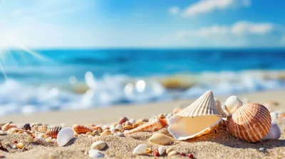 Фотографии Морские звезды пляжа Море Природа песке Ракушки 2560x1688