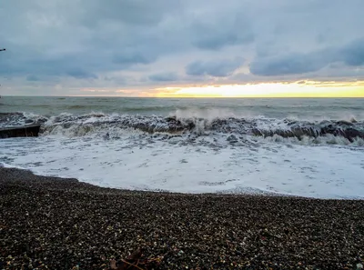 Море пляж ракушки (73 фото) »