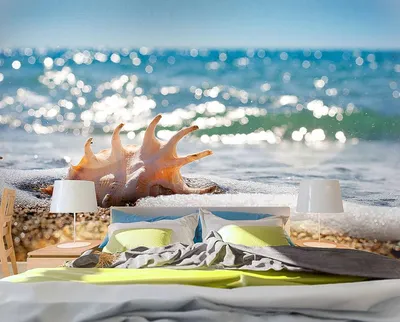 морские ракушки на берегу моря в португалии пляж Стоковое Изображение -  изображение насчитывающей известняк, скала: 221717367