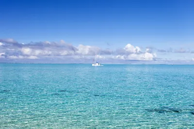 Красота воды родного края окружающий мир - фото и картинки: 65 штук