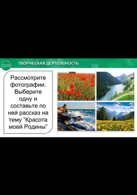 Сочинение на тему \"Как я провёл отпуск\" | Рассказы старой дамы | Дзен