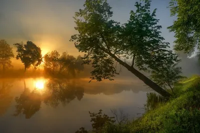 Рассвет над рекой» картина Чонга маслом на холсте — купить на ArtNow.ru