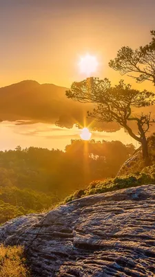Обои Норвегия, Гордаланнд, Деревья, горы, озеро, восход солнца, рассвет  750x1334 iPhone 8/7/6/6S Изображение
