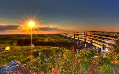 Картина пейзаж с восходом солнца «Рассвет в поле» 70х50х1,5 см – заказать  на Ярмарке Мастеров – JESPSRU | Картины, Волгоград