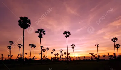Картина на холсте \"Восход солнца, зимний рассвет, утреннее небо\" 120x90 см.  с алюминиевым подвесом, в тубусе - купить по низкой цене в  интернет-магазине OZON (493525495)