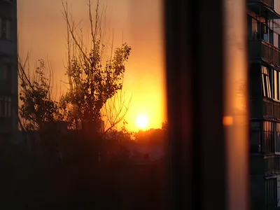 Рассвет: вид из окна дома