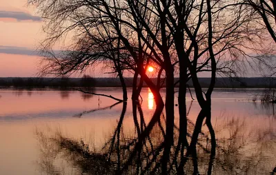 Фото Plantation Природа весенние Поля Рассветы и закаты
