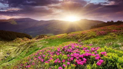Картинка Весна рассвет » Весна » Природа » Картинки 24 - скачать картинки  бесплатно