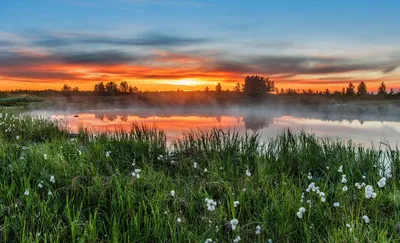 Яркий восход солнца весны Ландшафт весны рассвета над рекой с сияющей  зеленой травой на береге Стоковое Фото - изображение насчитывающей река,  лучи: 107635540