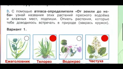 Помогите! Определите растения пресного водоёма и влажных мест. - Школьные  Знания.com