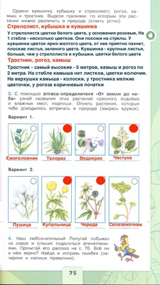 Страница 75 Рабочая тетрадь по окружающему миру за 4 класс 1 часть Плешаков  Школа России - YouTube