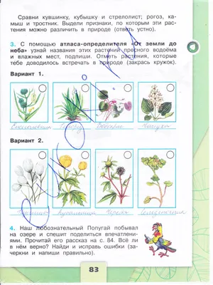 Подскажите растения по атласу-определителю 4 класс - Littleone 2006-2009