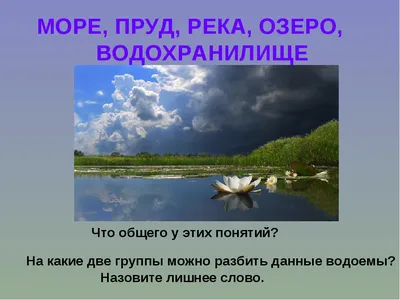 Конспект урока окружающего мира в 4 классе: «Жизнь пресного водоема»