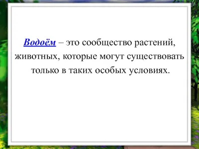 Растения Для Пруда. Водные Растения. Садовый Пруд на Даче