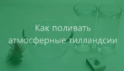 Презентация \"Жизнь пресного водоема\" (4 класс) по окружающему миру –  скачать проект