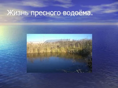 Иллюстрация 42 из 51 для Окружающий мир. 4 класс. Рабочая тетрадь. В 2-х  частях. Часть 1. ФГОС - Плешаков, Крючкова | Лабиринт - книги. Источник:  Низовая Ирина