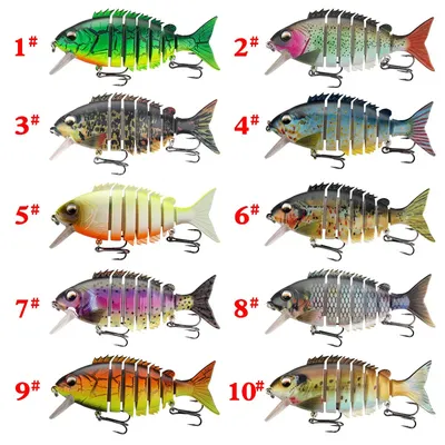 В строке, рыба разных размеров Этапы развития рыб Стоковое Изображение -  изображение насчитывающей расти, маштаб: 168839915
