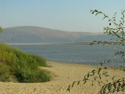 На оздоровление реки Амур планируют привлечь почти 63 млрд рублей