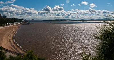 Амур — самая грязная река России - Хабаровск: Статьи