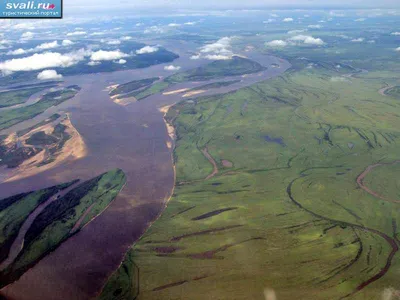 Уровень реки Амур превысил отметку наводнения 1984 года | Природа |  Общество | Аргументы и Факты