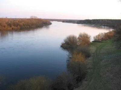 Проведено зарыбление щукой реки Неман у Новосёлок | Актуально | Заря над  Неманом