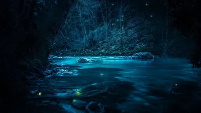 Ночная река - фото и картинки abrakadabra.fun