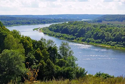 Река Ока и ее древние тайны: подробный обзор географических и исторических  характеристик реки