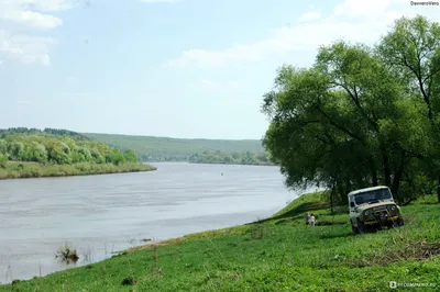 Река Ока | Отзыв о поездке с фотографиями | Места для купания и летнего  отдыха рядом с Москвой | Travel-блог \"За порогом\"