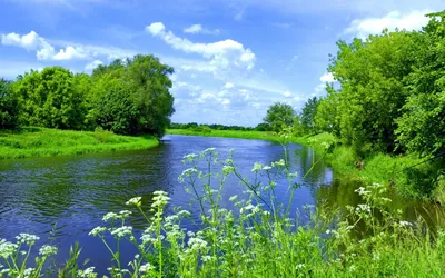 Река Белая (Агидель) - жемчужина Башкирии — Ураловед