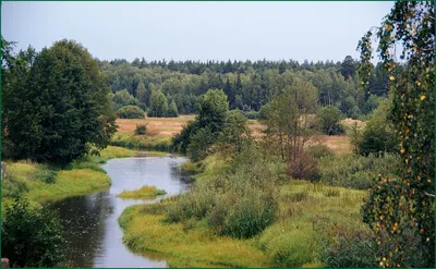Самые популярные реки для сплава на лодках | latvia.travel