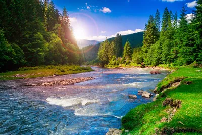 Малые реки – проекты природоохранного фонда «Верховье»