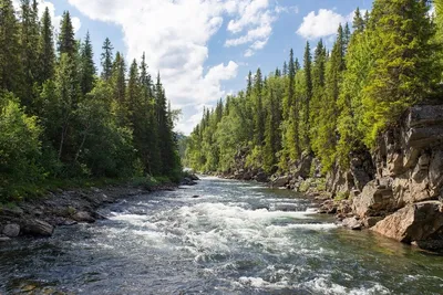Какие реки в России меняют свои течения? | Мир вокруг нас | ШколаЖизни.ру