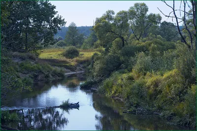 Река Теберда - описание, фото, где находится, карта