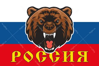 Фото российского флага с медведем 70 фото
