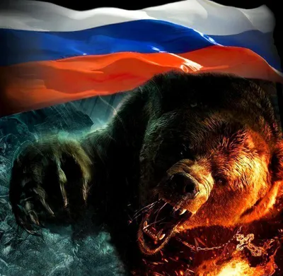 Флаг России с черной Z и медведем