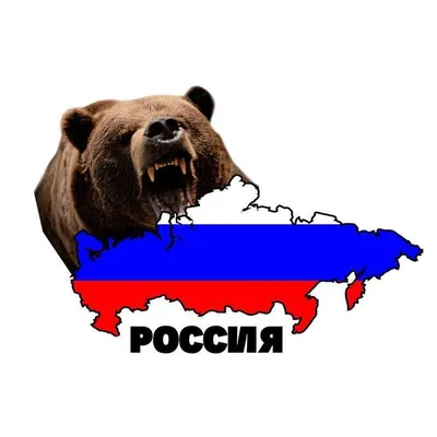 Купить Детская футболка «Медведь в цветах российского флага (паутинка)»  белый) за 790р. с доставкой