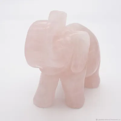 Цирк Розовый слон в г.Уфа | Официальный сайт