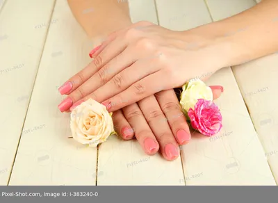Руки мужа и жены с обручальными кольцами на букет роз | Премиум Фото