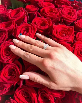 Особенный букет роз | Сказочные свадьбы, Свадебные моменты, Предложение руки  и сердца