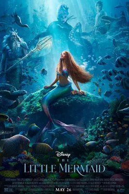 Эстетика русалки #русалка #mermaid #мифология #мифическиесущества #мор... |  TikTok