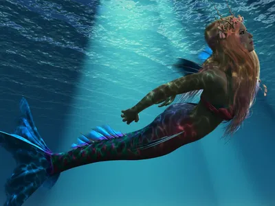 русалка плавать под водой подводный выстрел, настоящие фотографии русалок  фон картинки и Фото для бесплатной загрузки