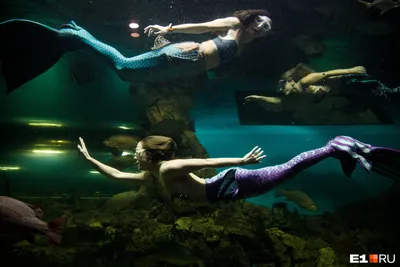 Картинки русалка Подводный мир молодая женщина воде